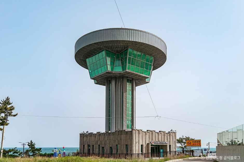 경주_경주 양남 주상절리 전망대 (1).jpg