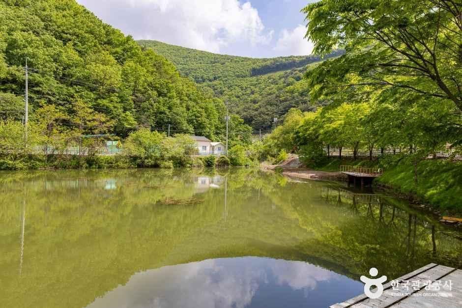 제천_가마실캠핑장 (4).jpg