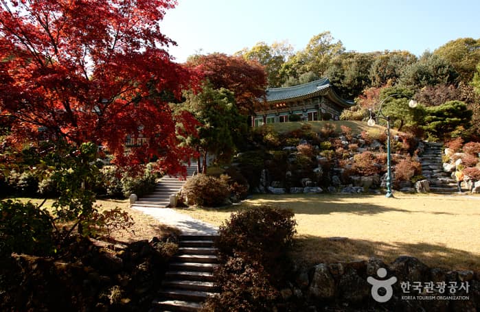 경기_용인_템플스테이로 한국문화 알리는 푸른 눈의 이방인,드미트라 E. 게이츠 씨01