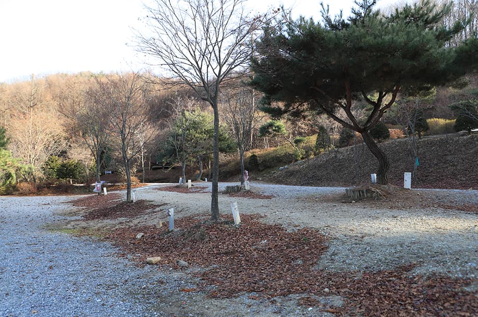 양평수목원캠핑장_전경1