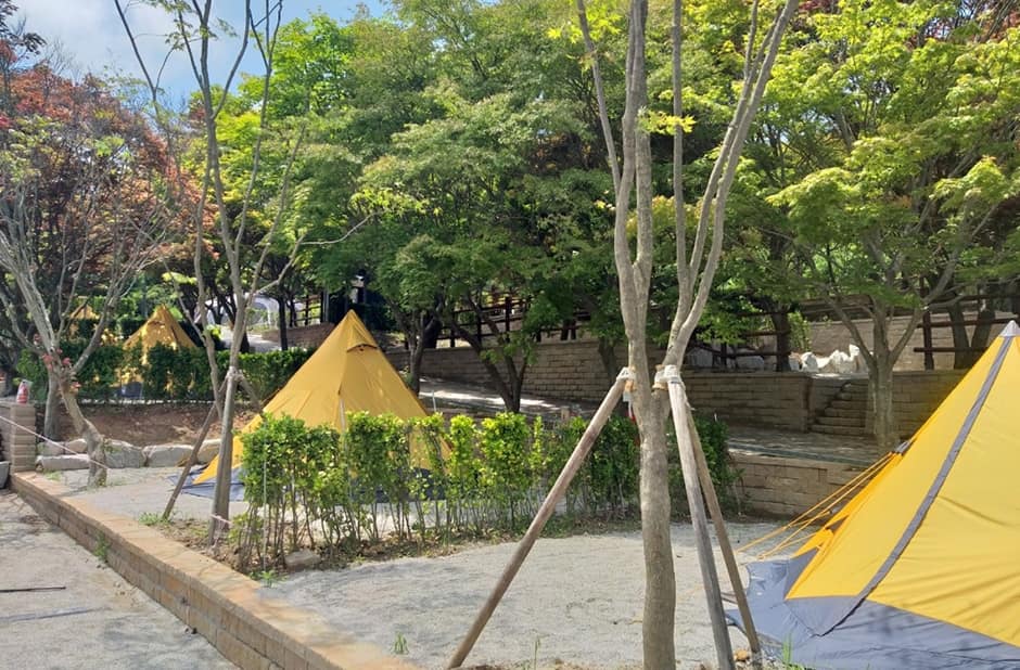 전북_고창군_고창군선운산국민여가캠핑장_캠핑장_6