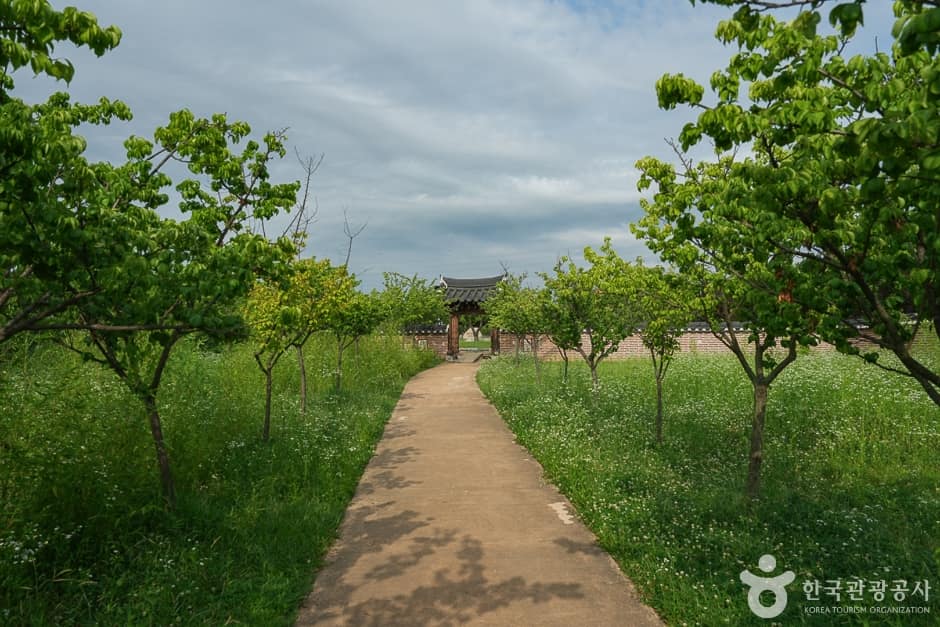 경인아라뱃길 매화동산8