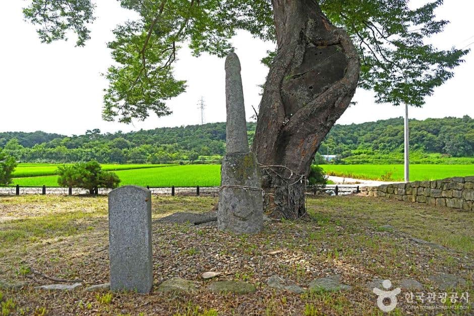 백암리남근석 (2)