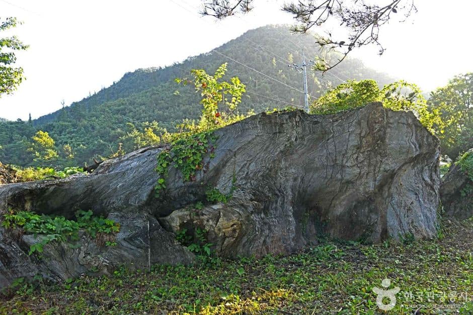 단양_삼태산 경관 (2)