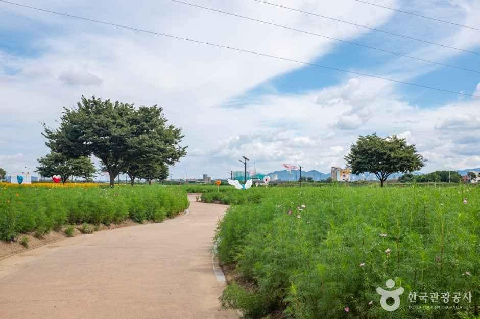 경산_대부잠수교 (1)