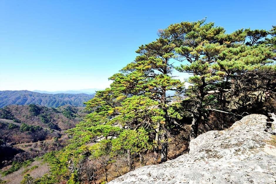 정선_괘병산(정선) (5)