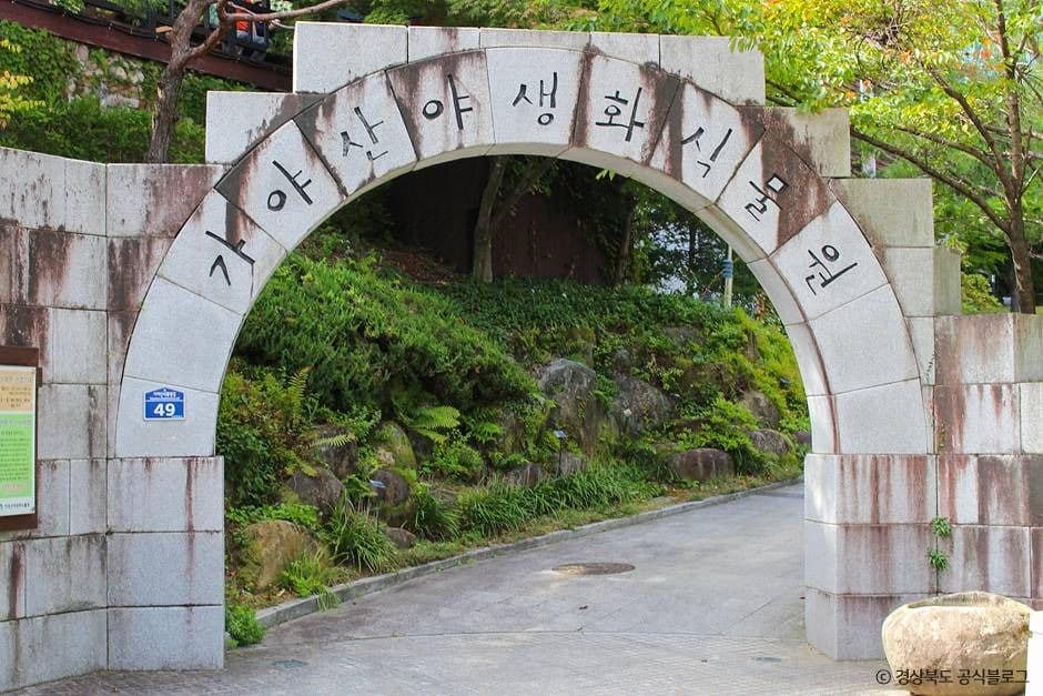 성주_가야산 야생화식물원 (1)