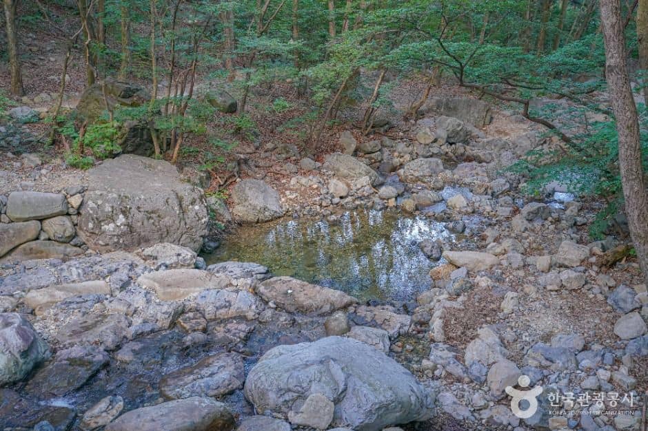 김해_장유대청계곡 (1)