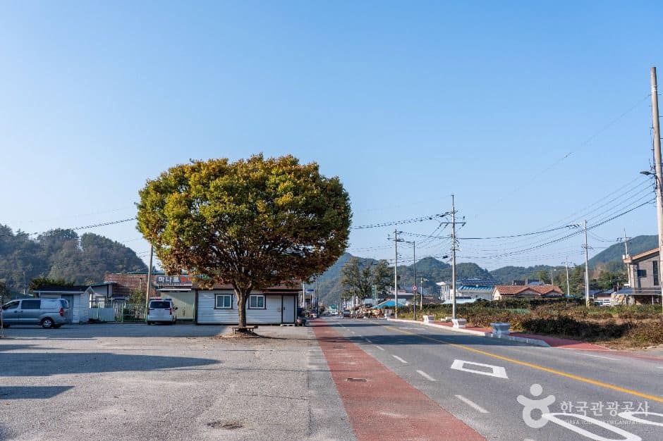 제천_월악산 약초마을 (6)