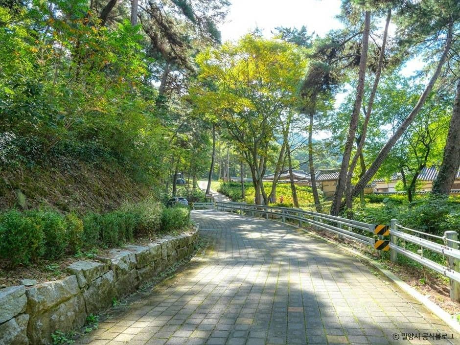 밀양_금시당유원지 (1)