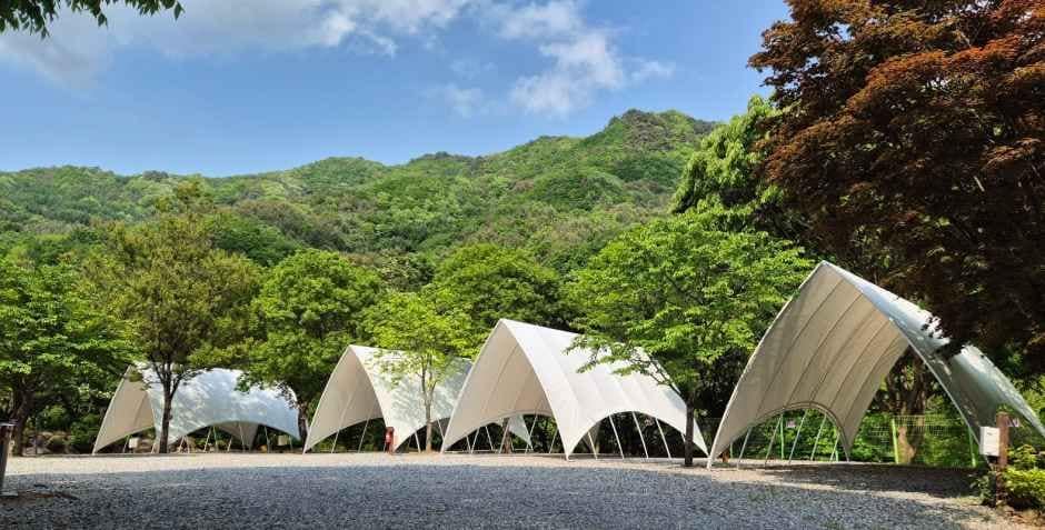 제천_덕동골캠핑장 (5).jpg