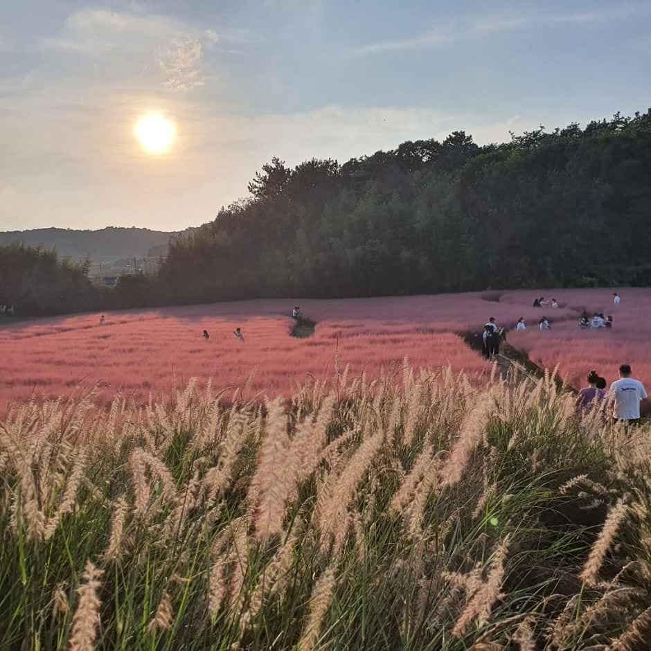 고창_고창 청농원 (5).jpg