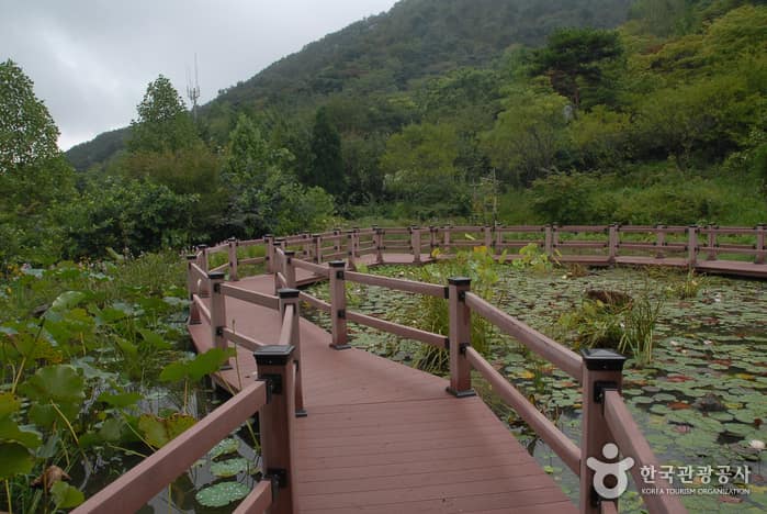 고운식물원