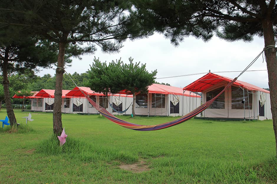 파라독스캠핑 사진 2