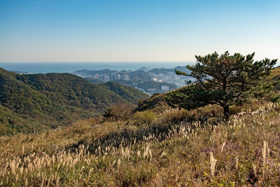 승학산 (2)