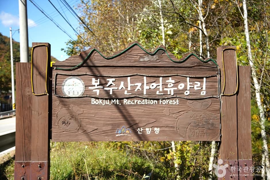 국립 복주산자연휴양림 (1)