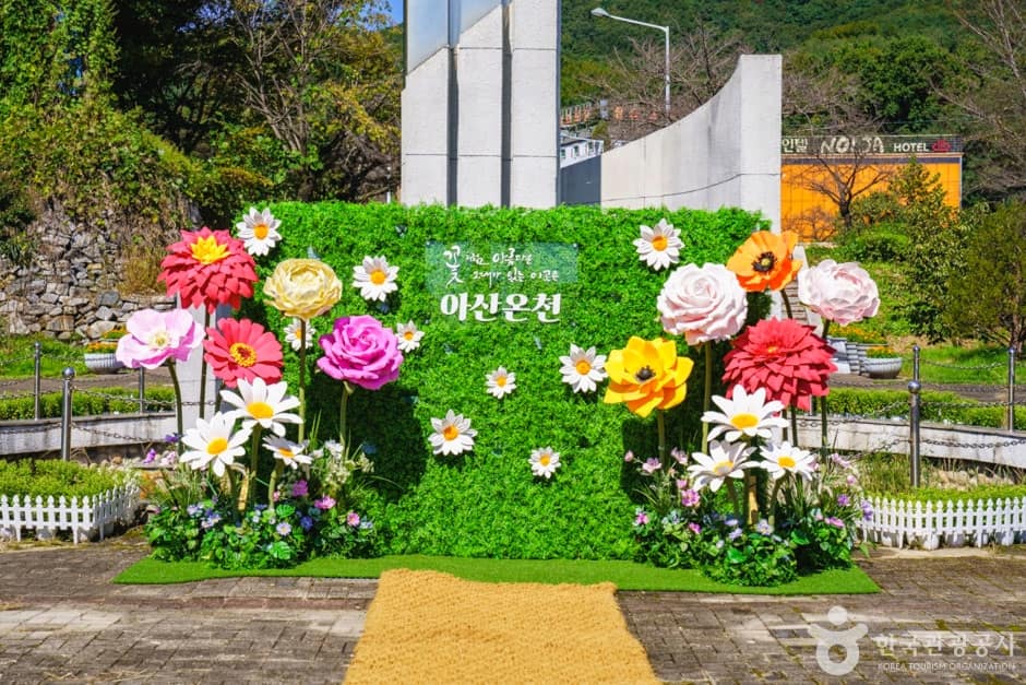 아산시 온천 관광특구 (3)