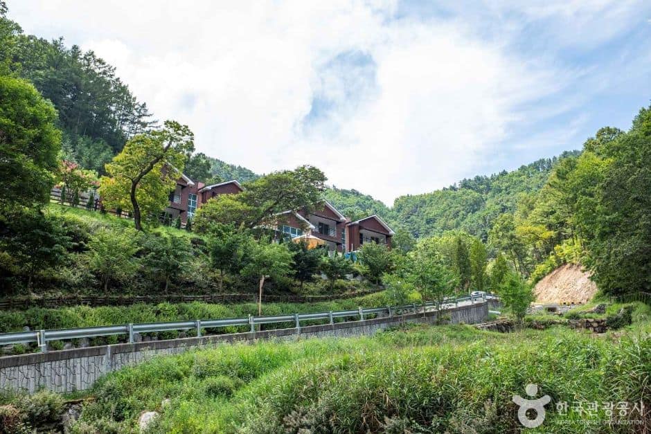 독용산성자연휴양림 (2)