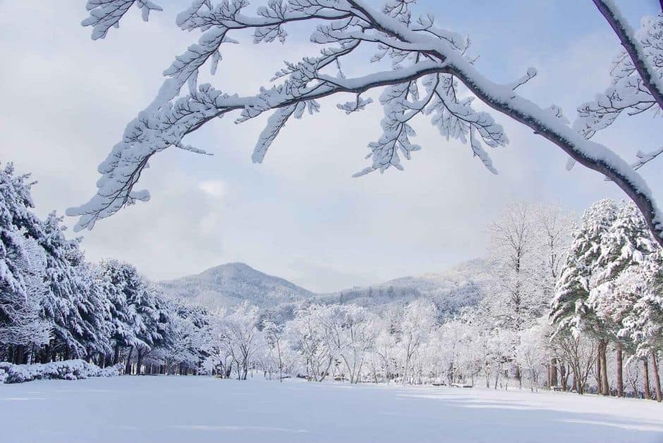 남이섬 (9)