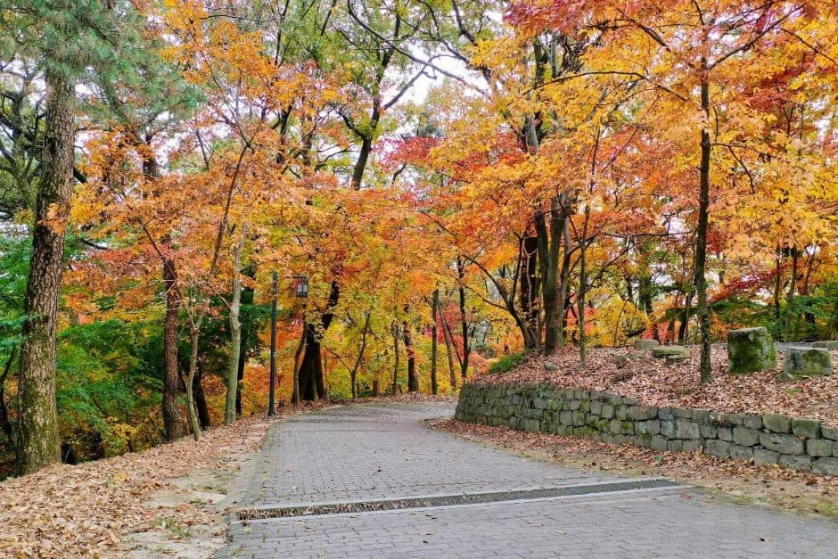 부소산 (9)