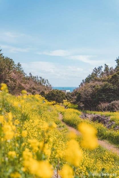 서귀포_엉덩물계곡 (1)