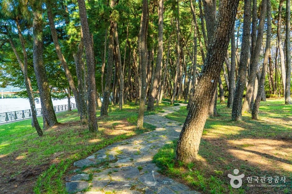 하동_하동목도공원 (1)