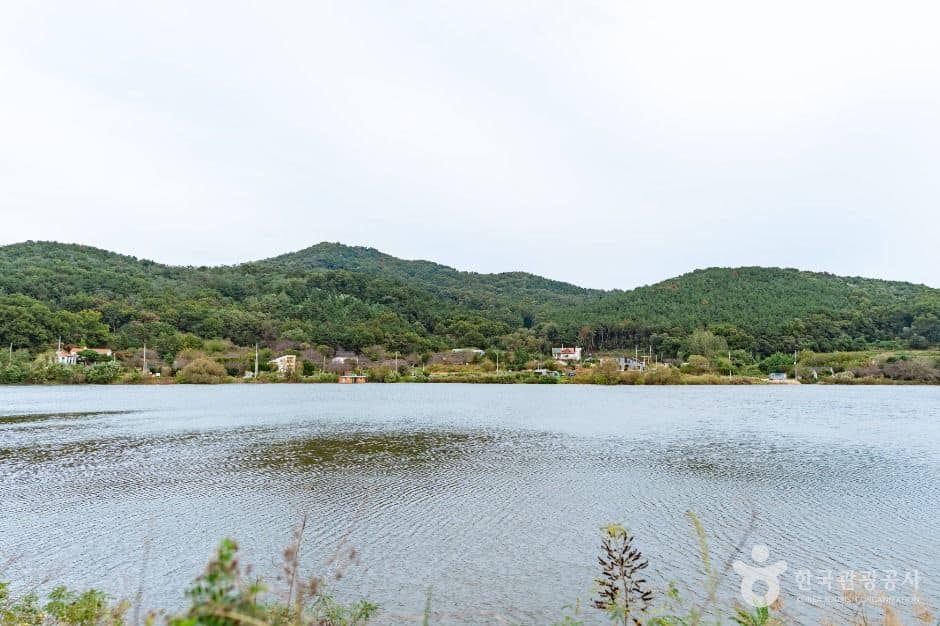 아산_냉정지 (3)