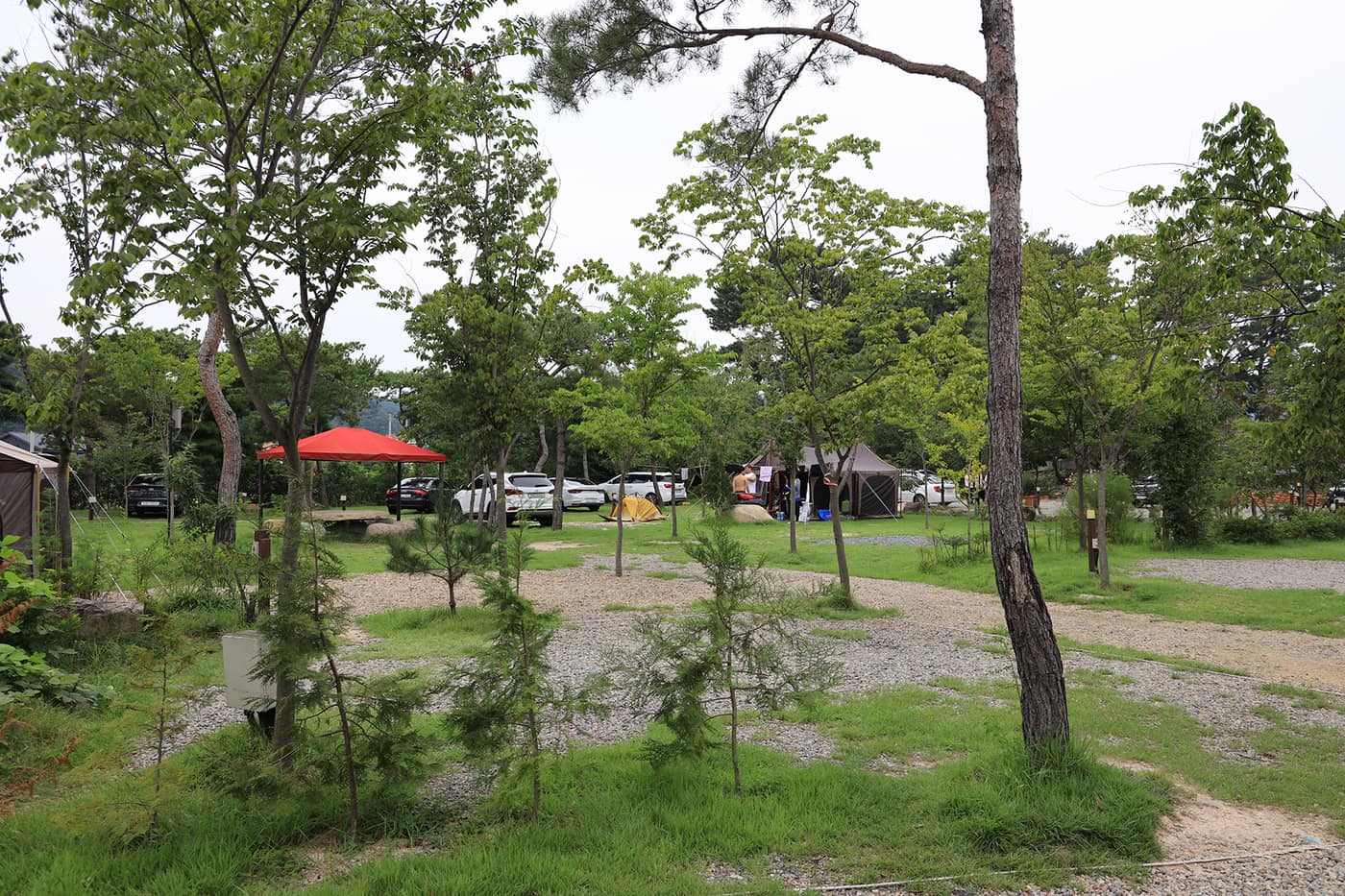 용천수캠핑장 전경3