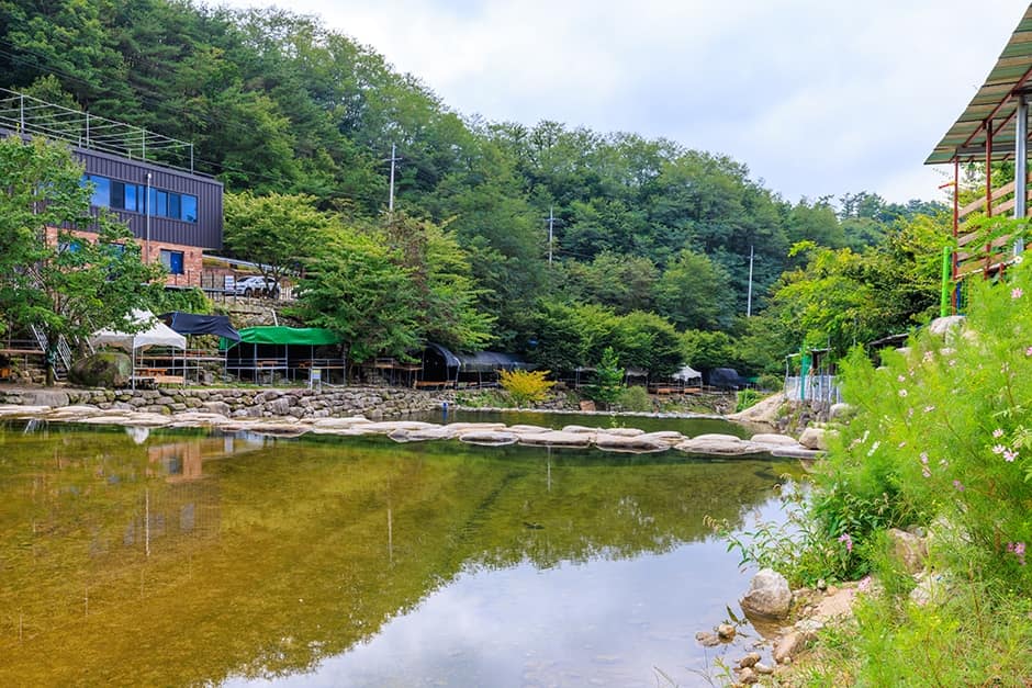 경북_군위군_군위 솔밭야영장_시설_계곡_2