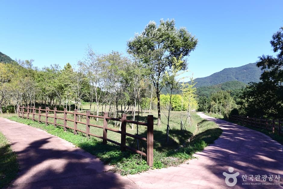 전남_곡성_보성강 (10)