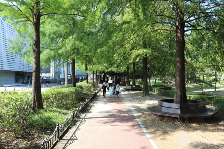둔산대공원 (1)