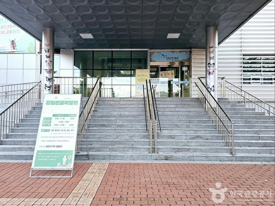 양평곤충박물관_10