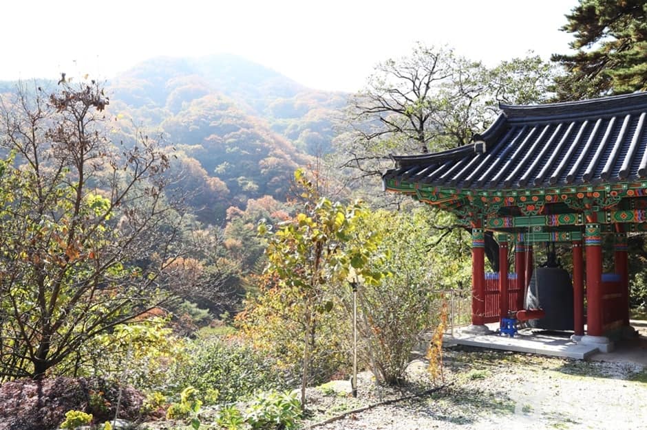 덕유산국립공원(남덕유분소) (5)