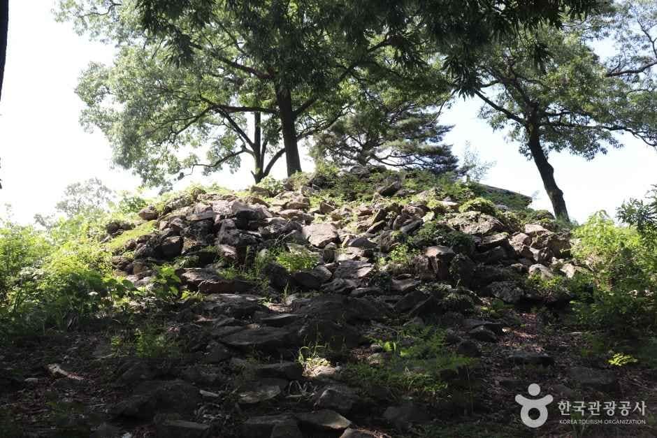 금이성 (3)_e