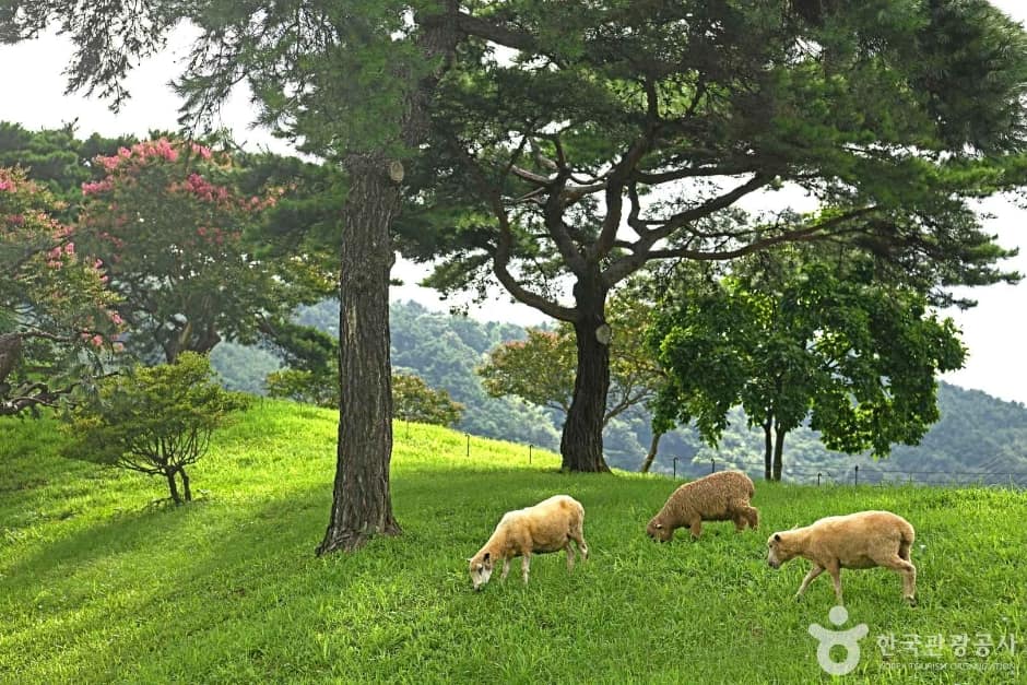 지리산호수공원 (5)