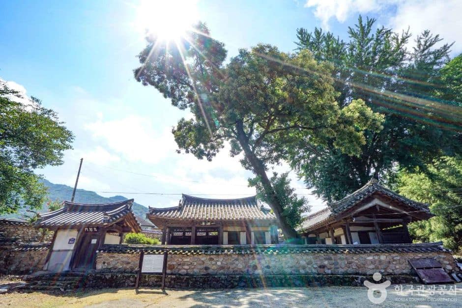 일원정 (2)