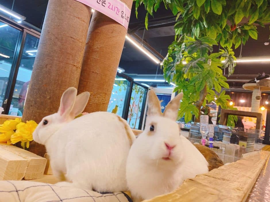 인천_마리앤쥬 (9)
