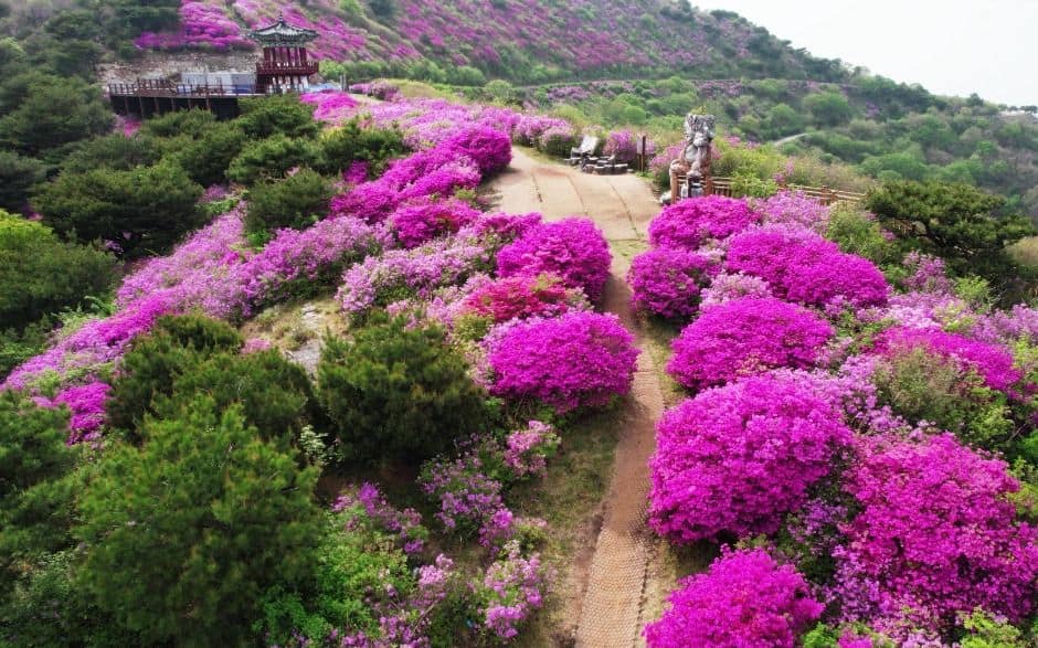 의령_한우산 (7)
