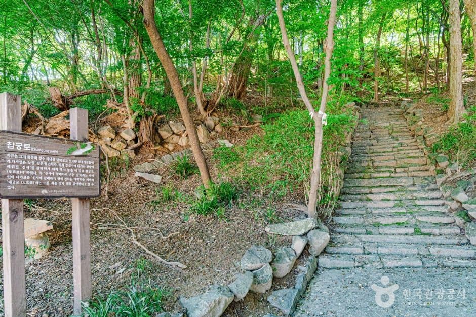 전주_다가공원 (6)