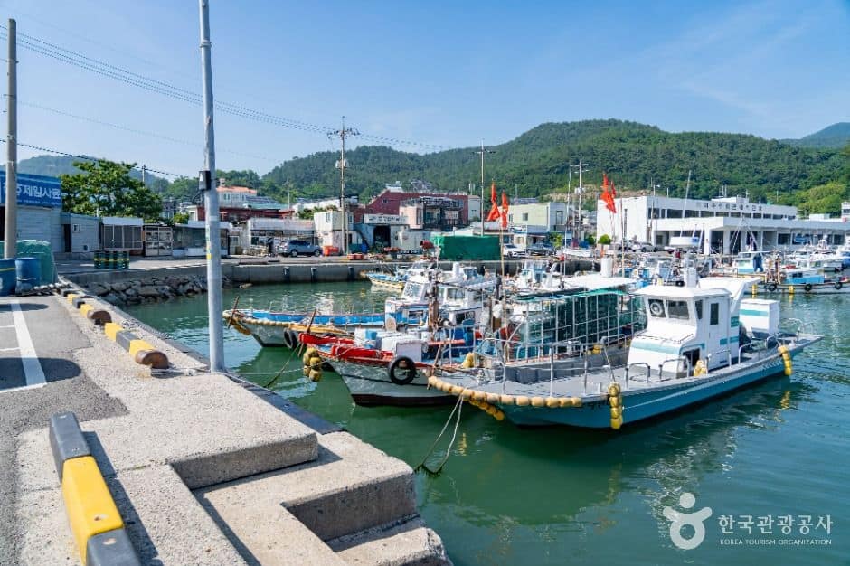 여수_돌산항 (5)