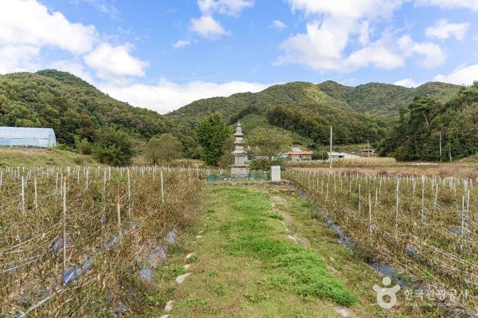 괴산_괴산 삼방리 삼층석탑 (6)