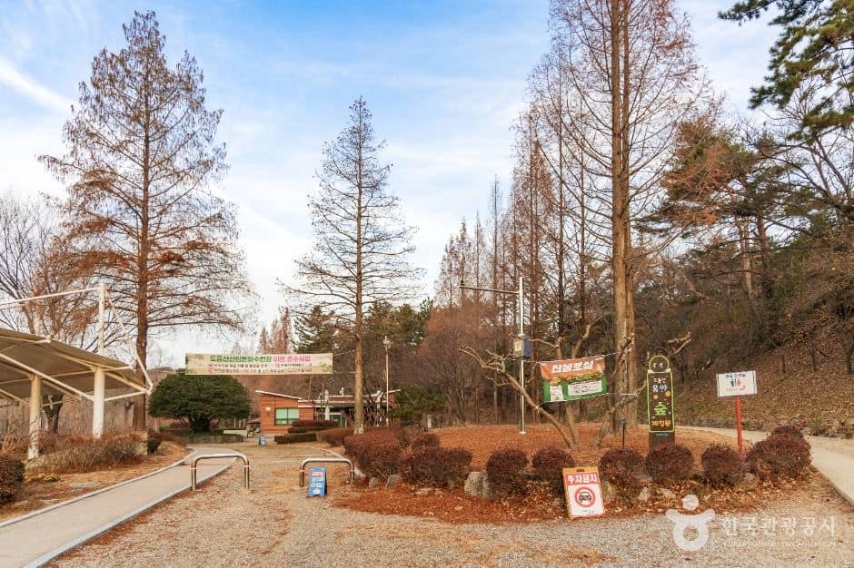 포항_도음산산림문화수련장 (1)