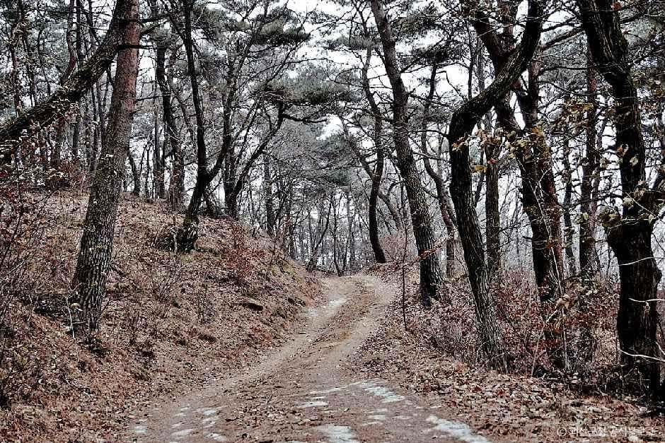 괴산_백마산 (1).jpg