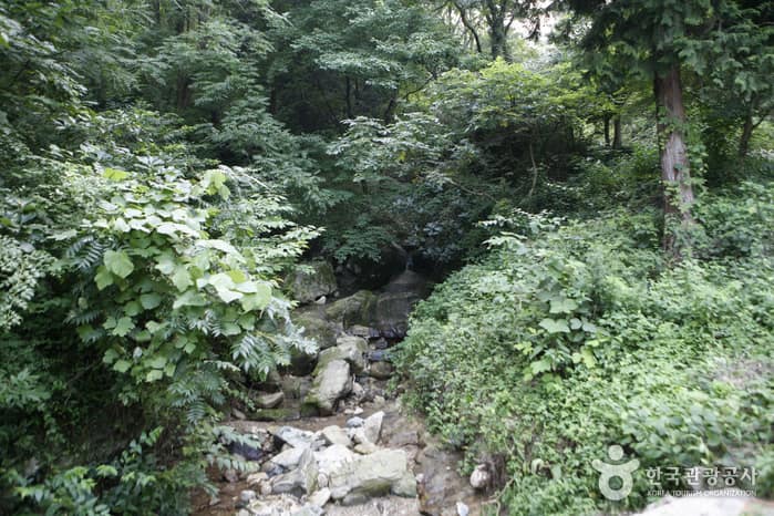 금성산_04