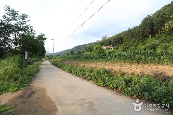 강원_홍천_남노일 강변01