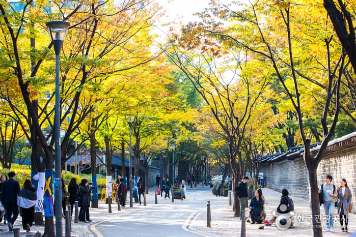 덕수궁 돌담길