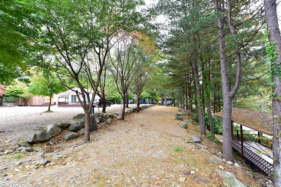 계곡풍경캠핑장_주변환경