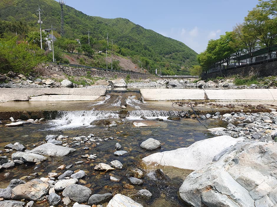 울산시_울주군_아트앤오토캠핑장_계곡