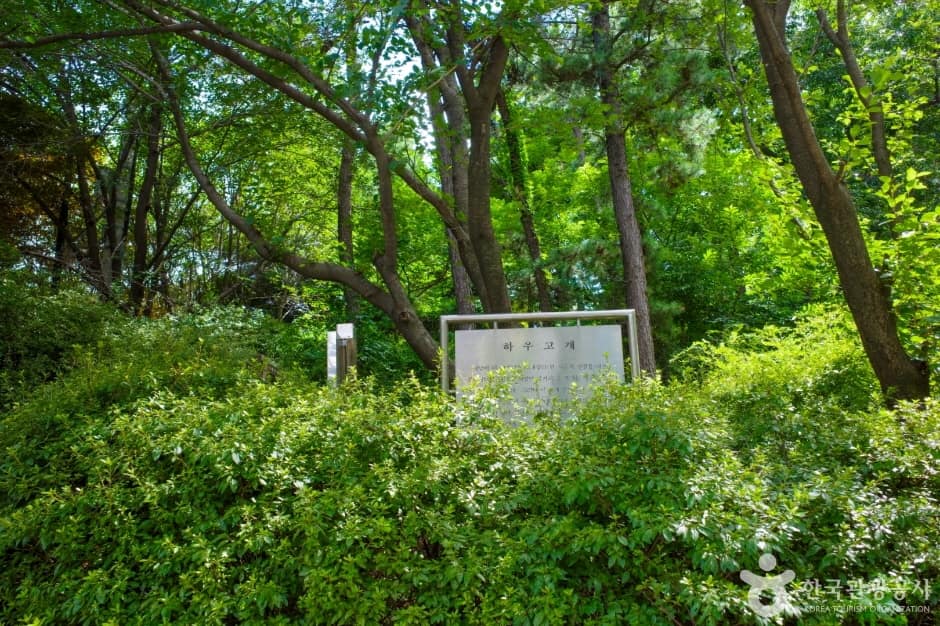 하우고개 (15)