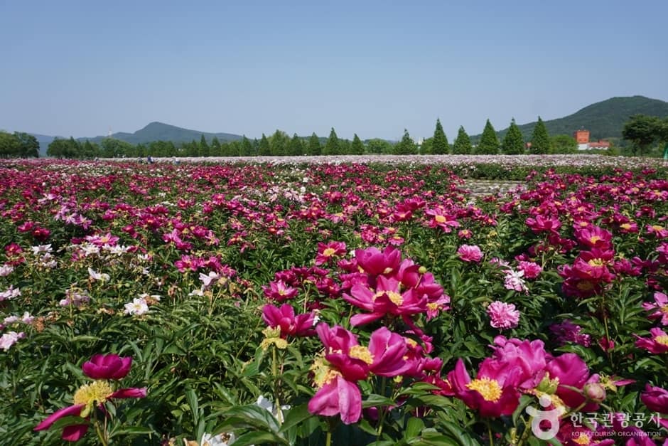 핫들생태공원 (1)